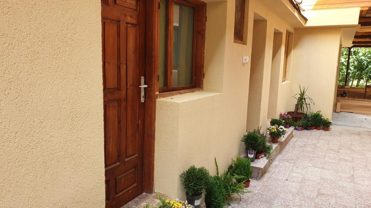 Casa Arion *